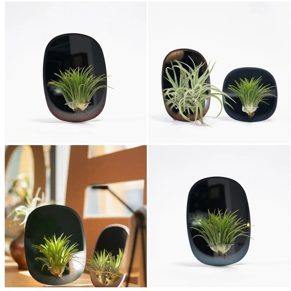 Rectangle Mirror Planter For Air Plants